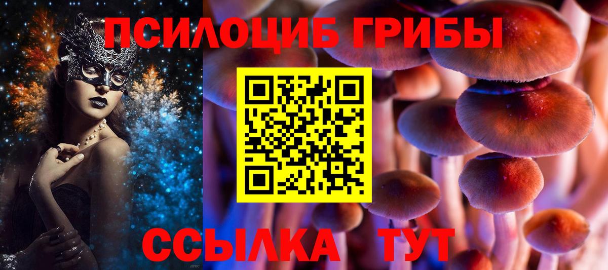 Псилоцибиновые грибы Psilocybine cubensis Воркута