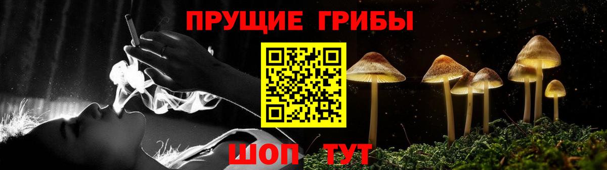 как найти наркотики  Вход с VPN  Воркута  Галлюциногенные грибы Psilocybine cubensis 